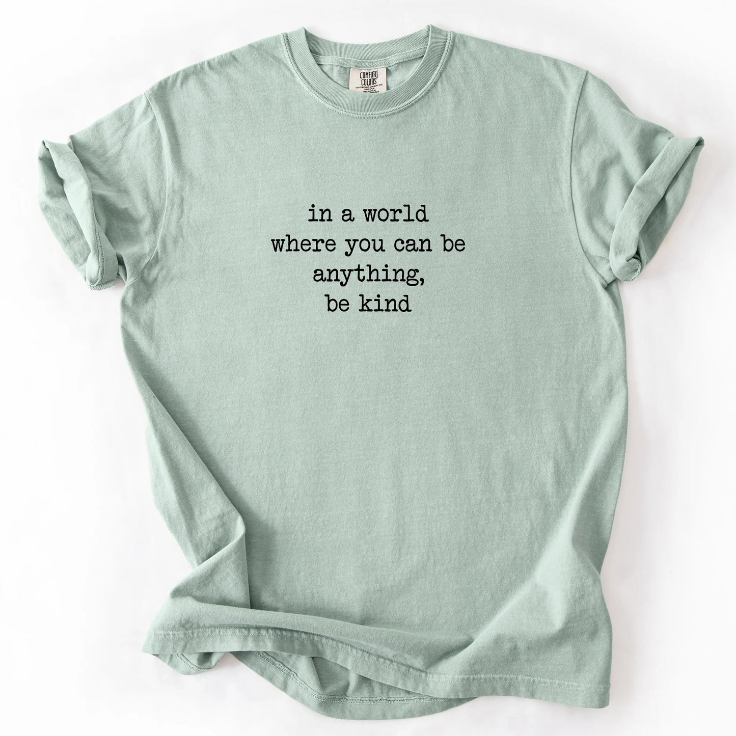 In A World Where You Can Be Anything Be Kind T-Shirt