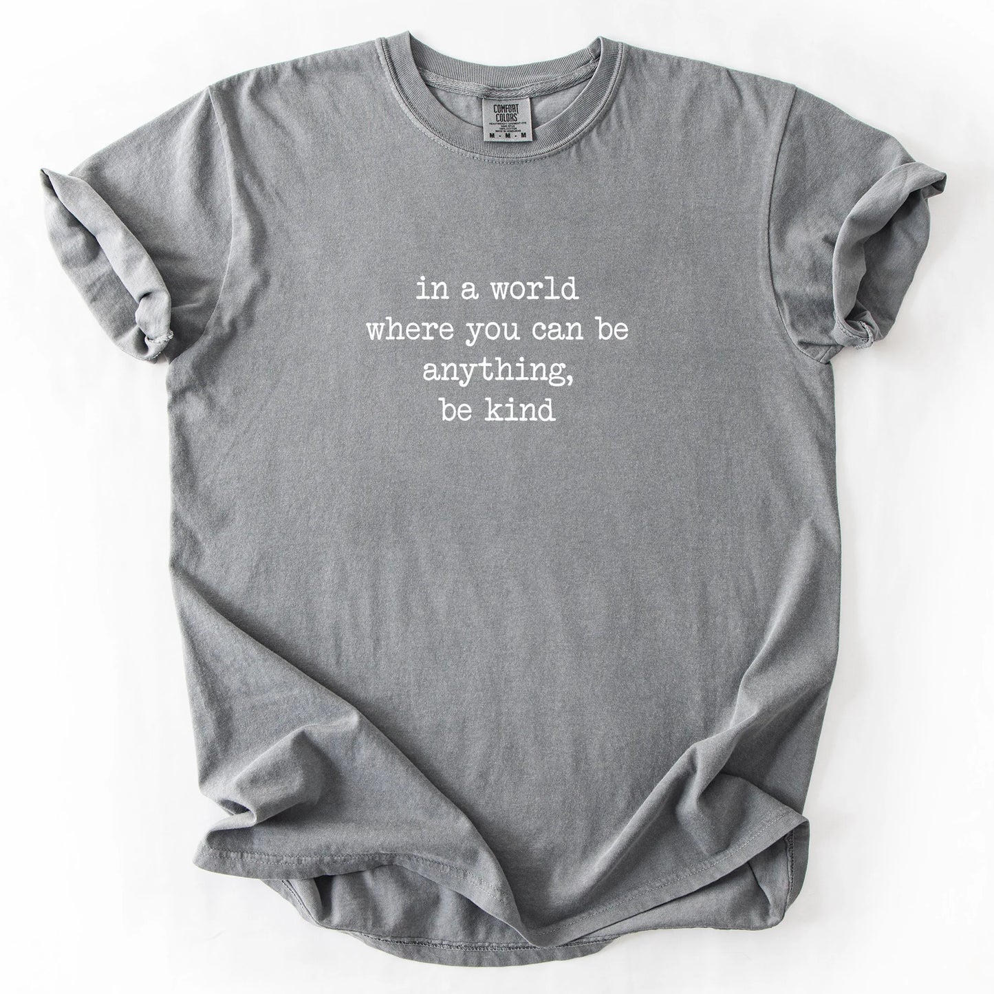 In A World Where You Can Be Anything Be Kind T-Shirt