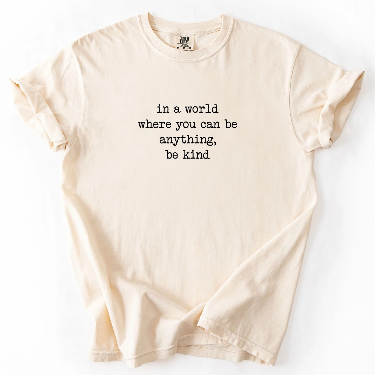 In A World Where You Can Be Anything Be Kind T-Shirt