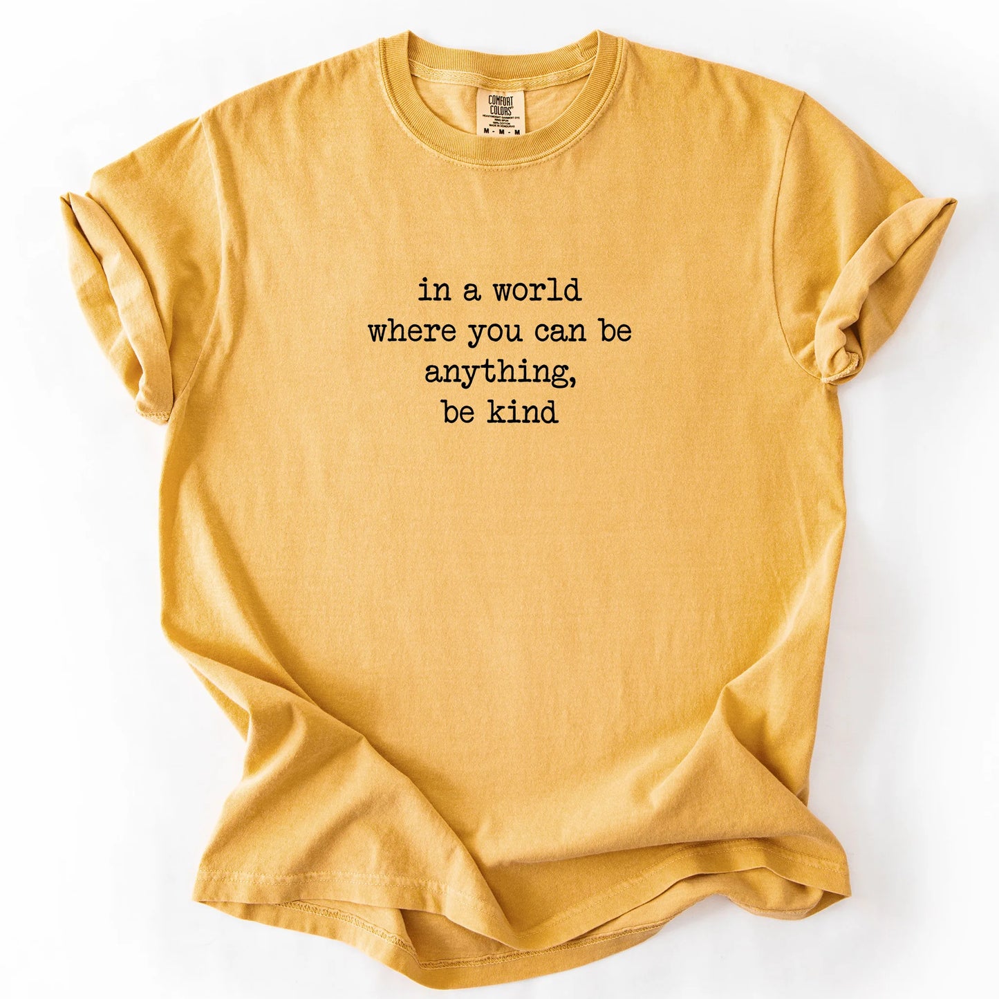 In A World Where You Can Be Anything Be Kind T-Shirt