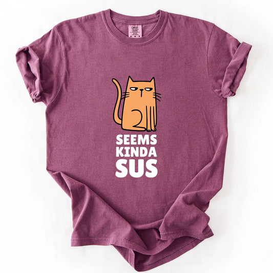 Seems Kinda Sus T-Shirt