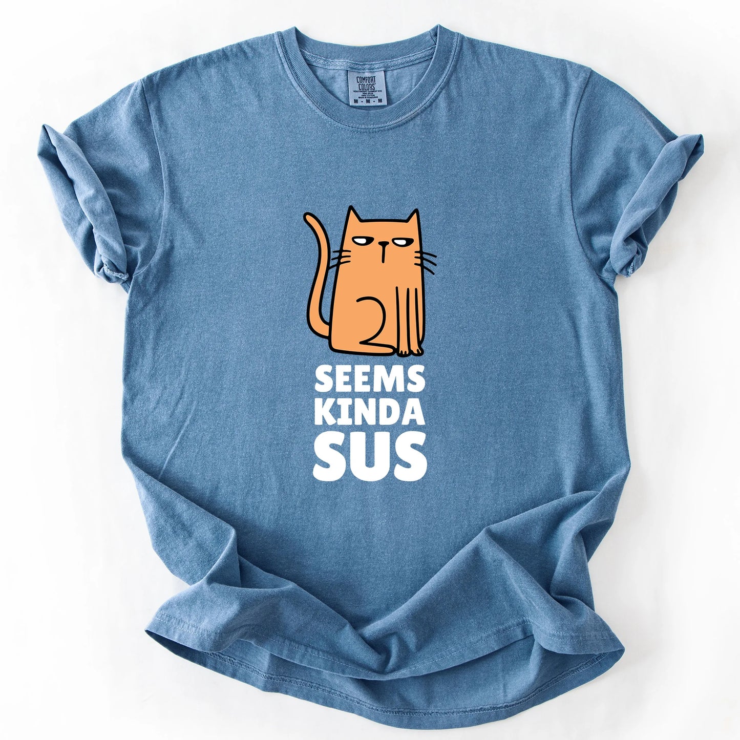 Seems Kinda Sus T-Shirt