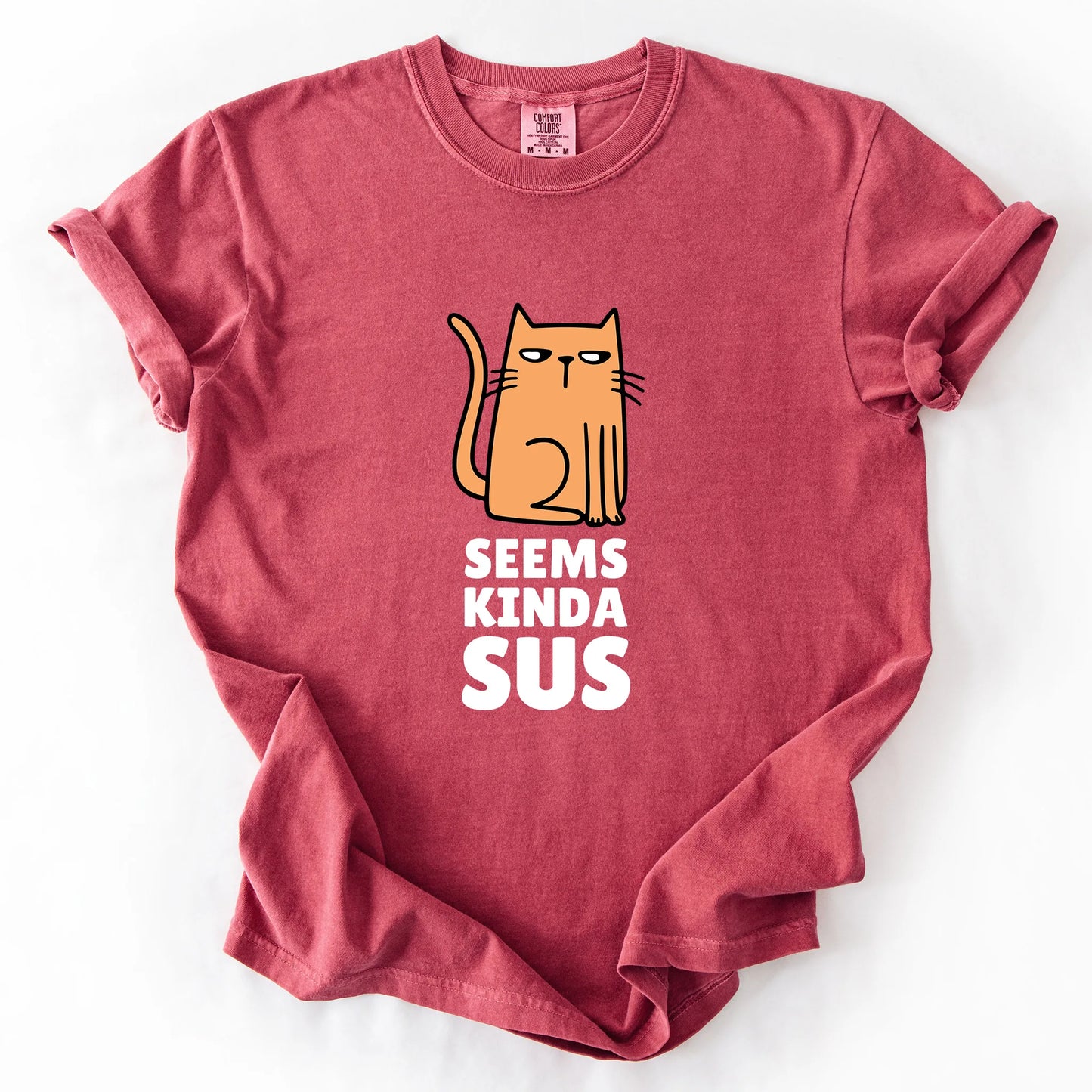 Seems Kinda Sus T-Shirt
