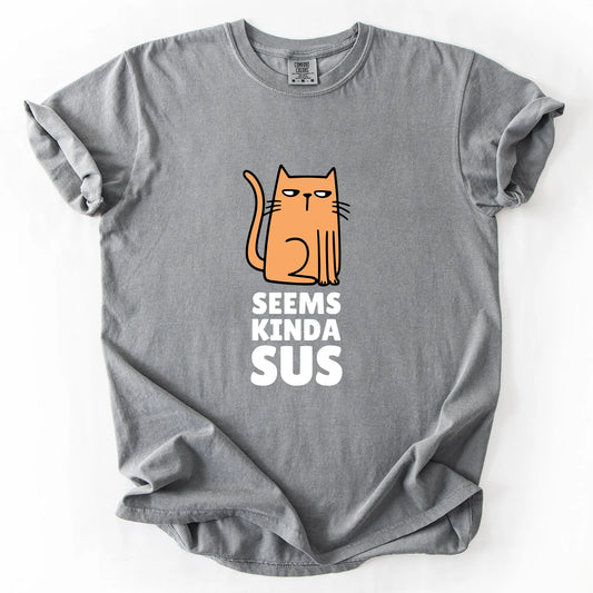 Seems Kinda Sus T-Shirt