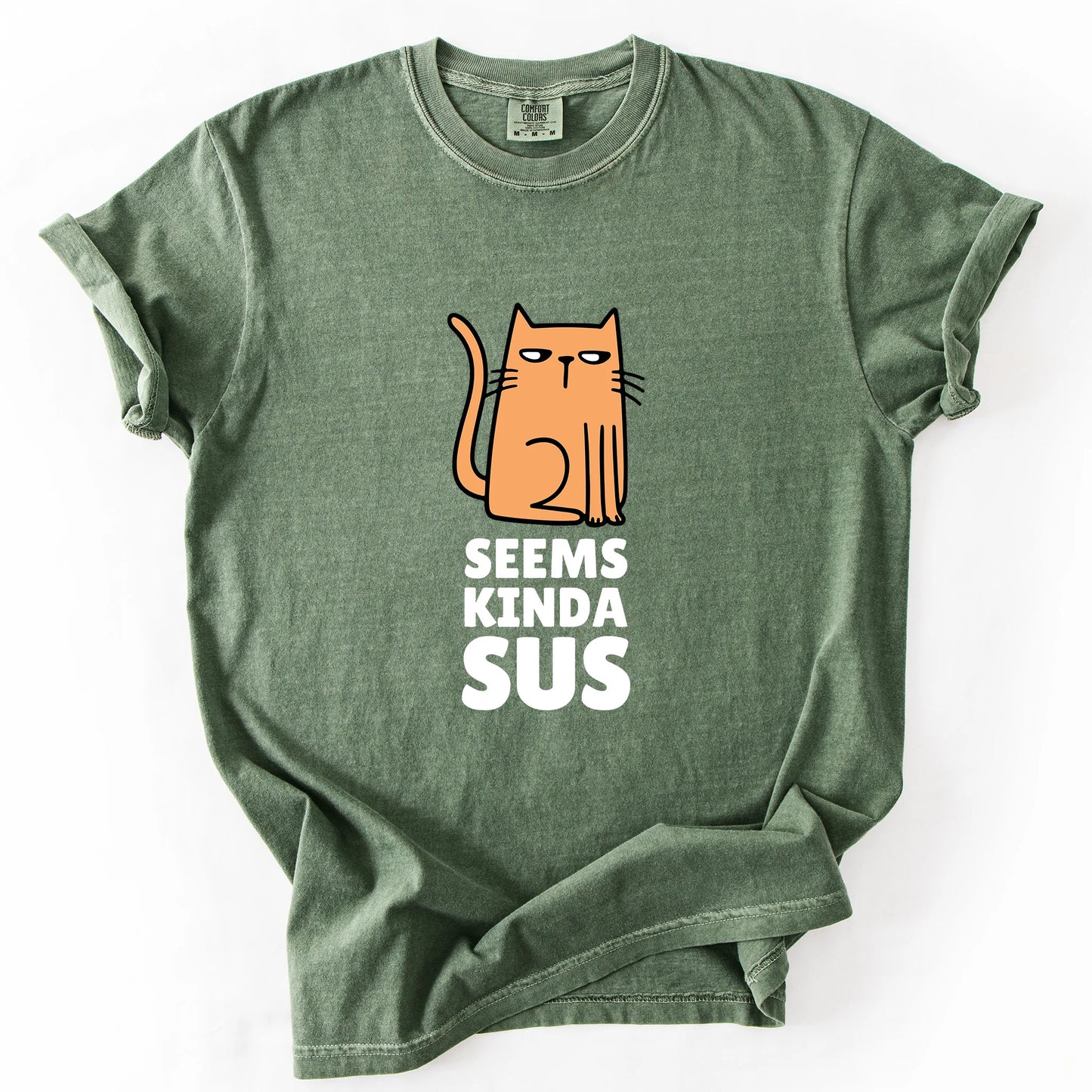 Seems Kinda Sus T-Shirt