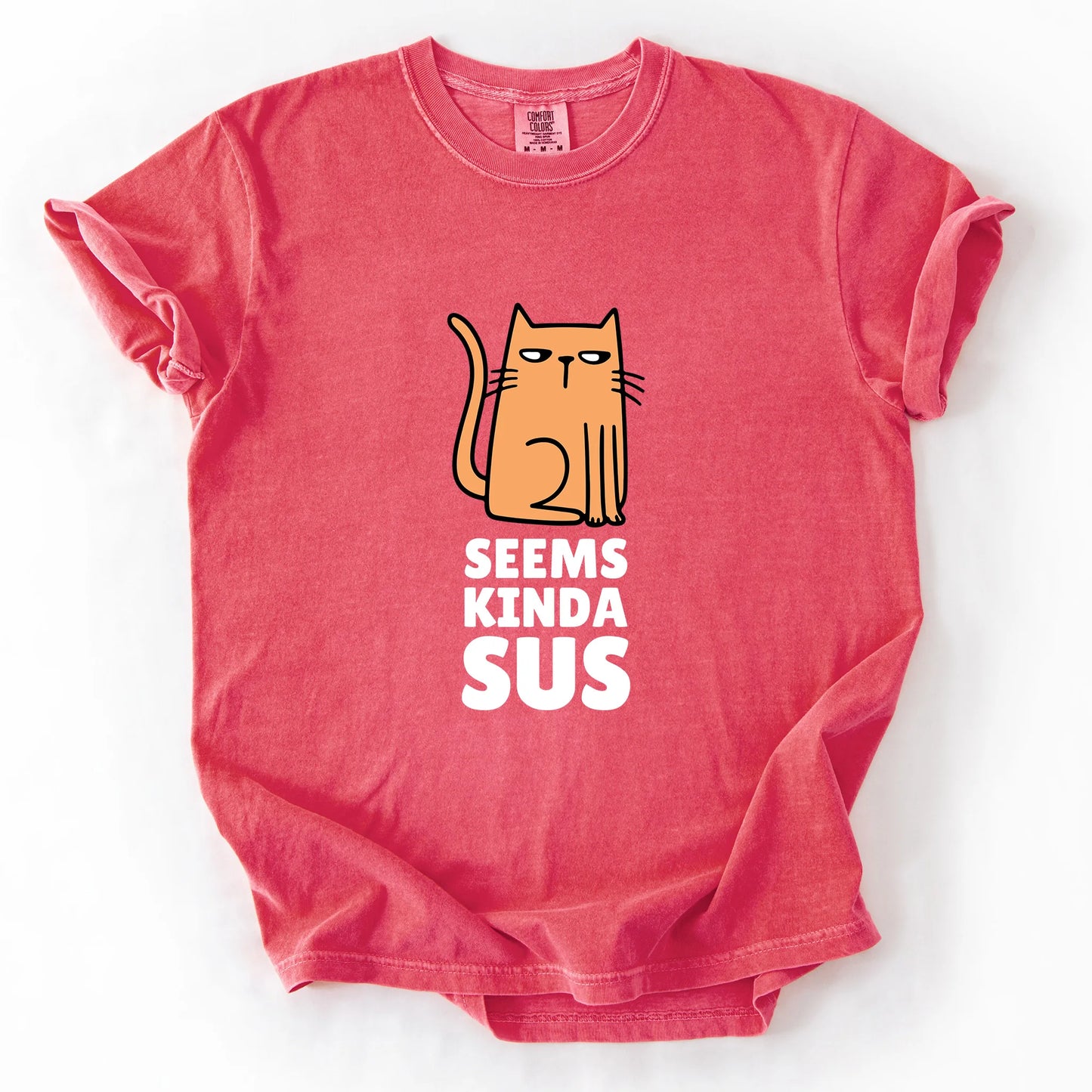 Seems Kinda Sus T-Shirt