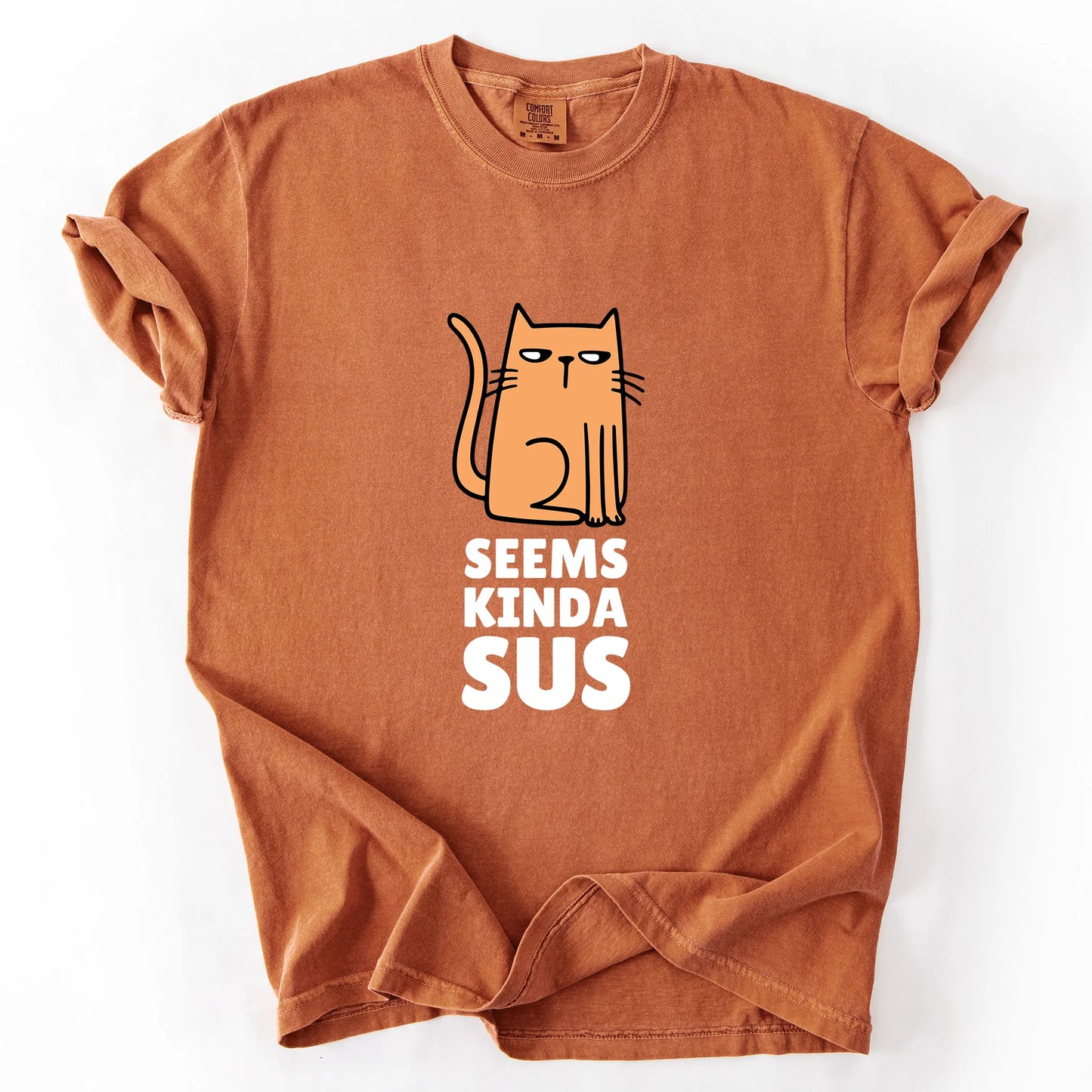 Seems Kinda Sus T-Shirt