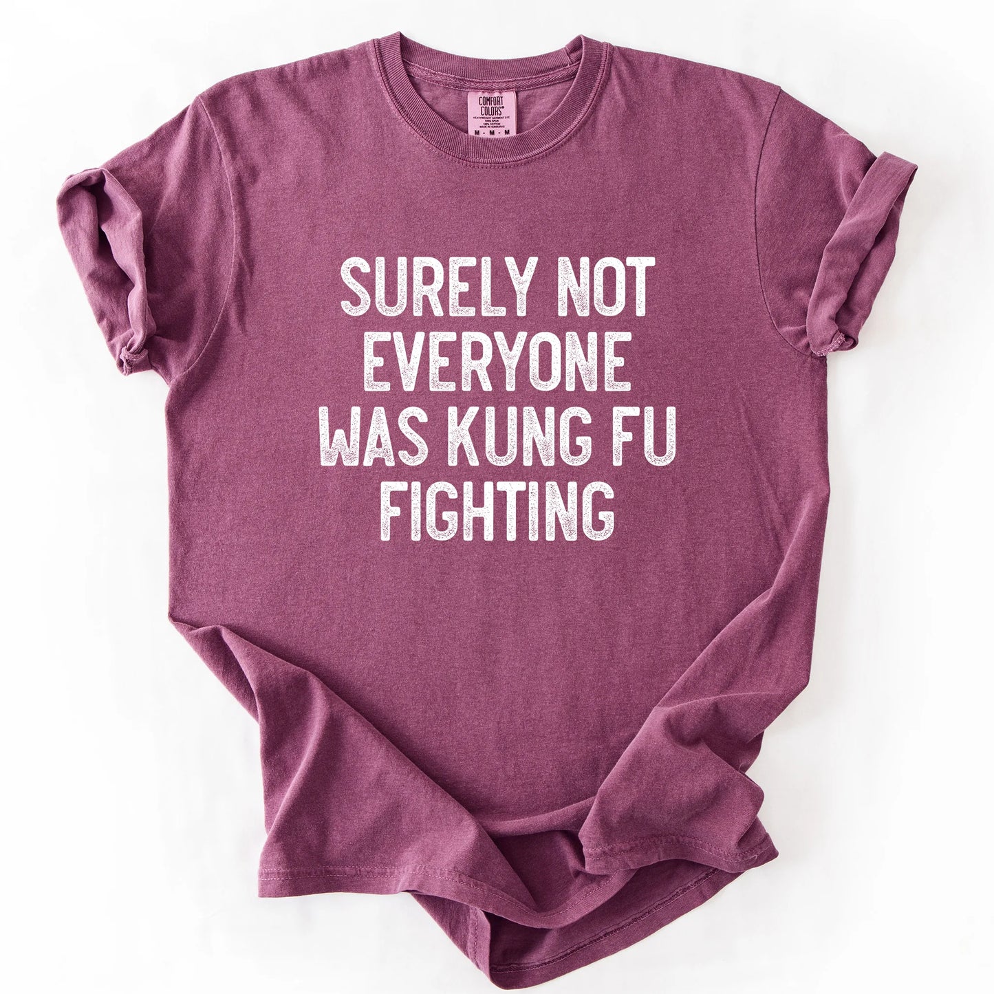 Surely Not Everyone Was Kung Fu Fighting T-Shirt