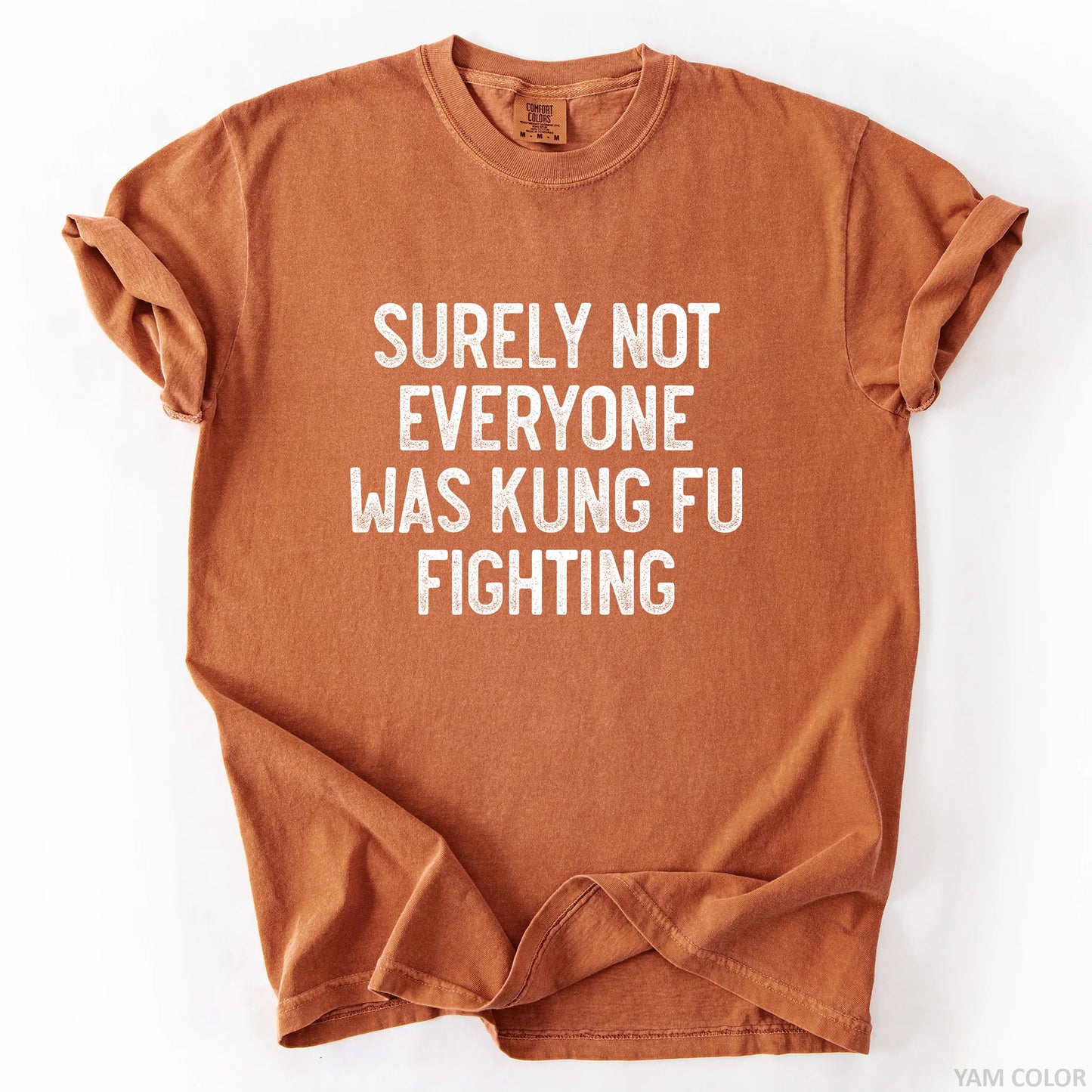 Surely Not Everyone Was Kung Fu Fighting T-Shirt