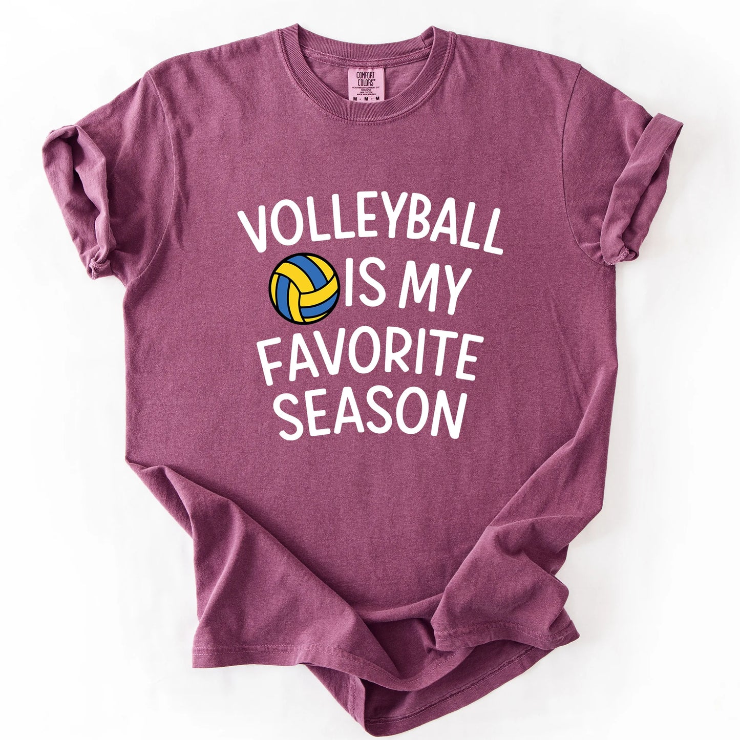 Volleyball Is My Favorite Season T-Shirt