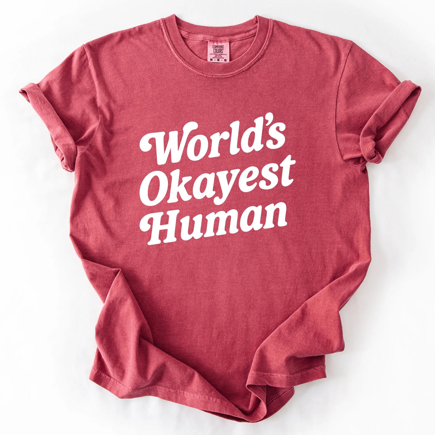 World's Okayest Human T-Shirt