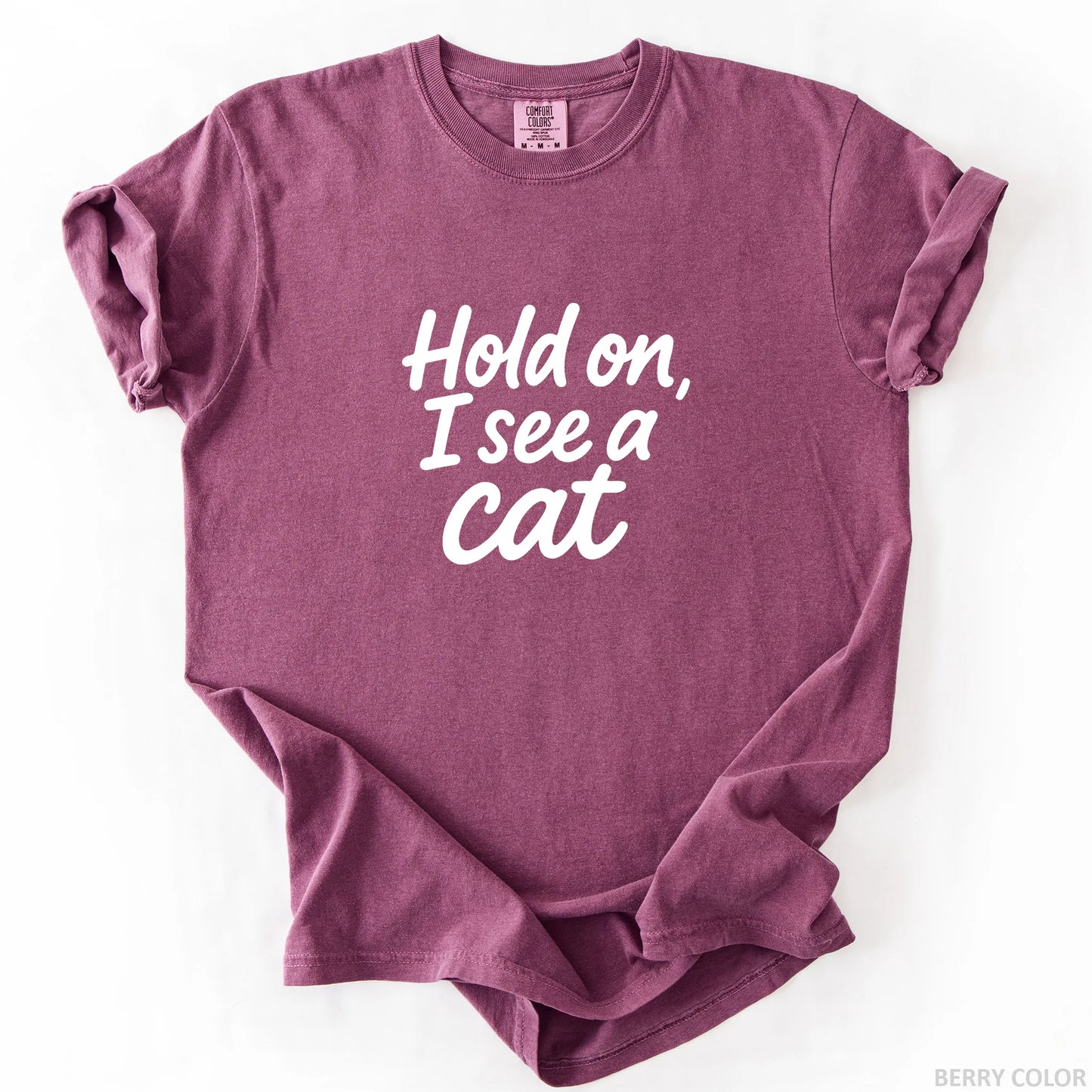 Hold On I See A Cat T-Shirt