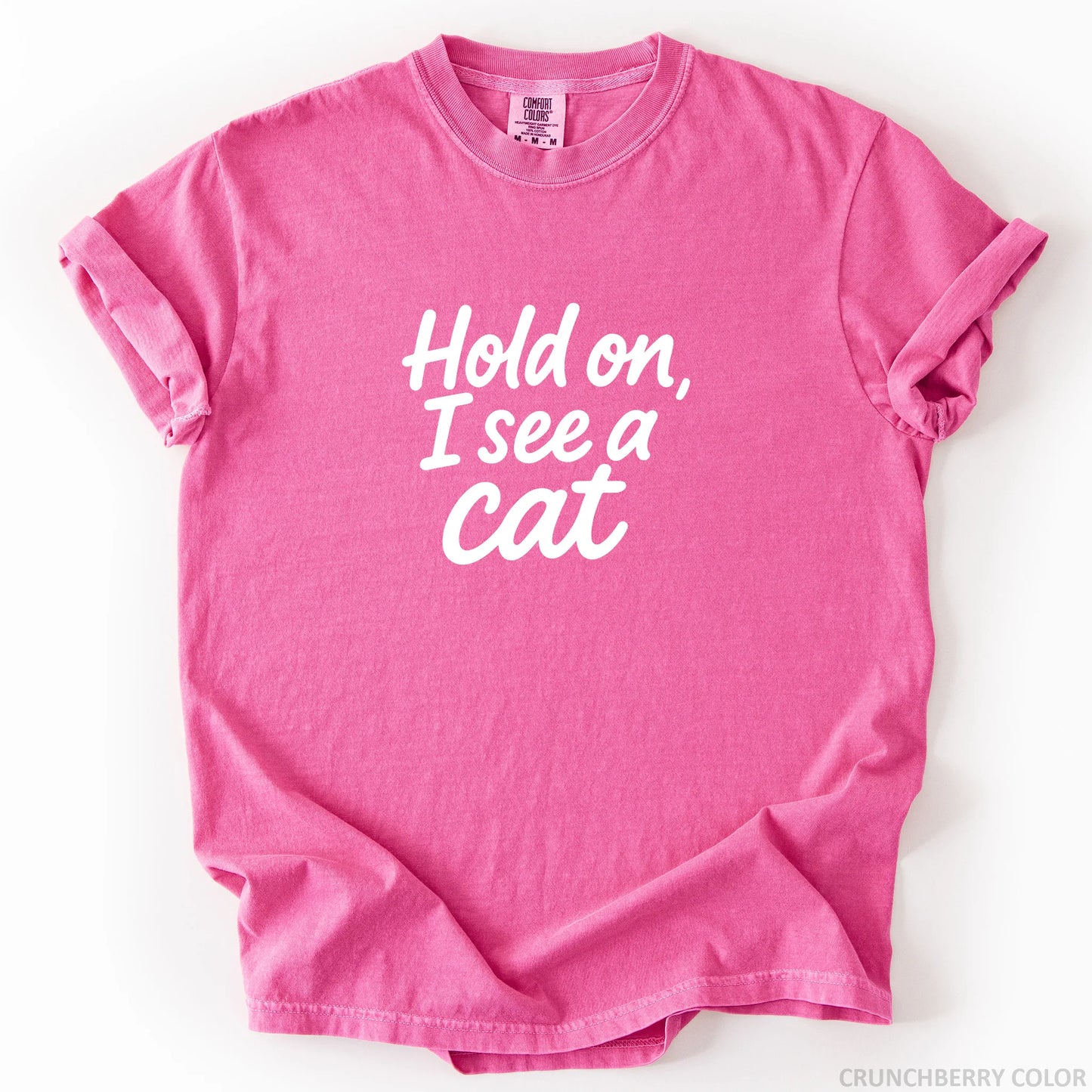 Hold On I See A Cat T-Shirt