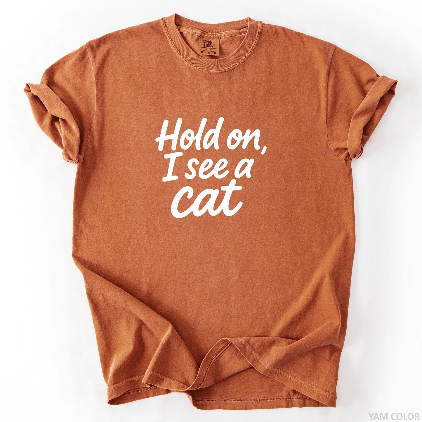 Hold On I See A Cat T-Shirt