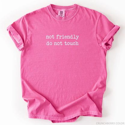 Not Friendly Do Not Touch T-Shirt