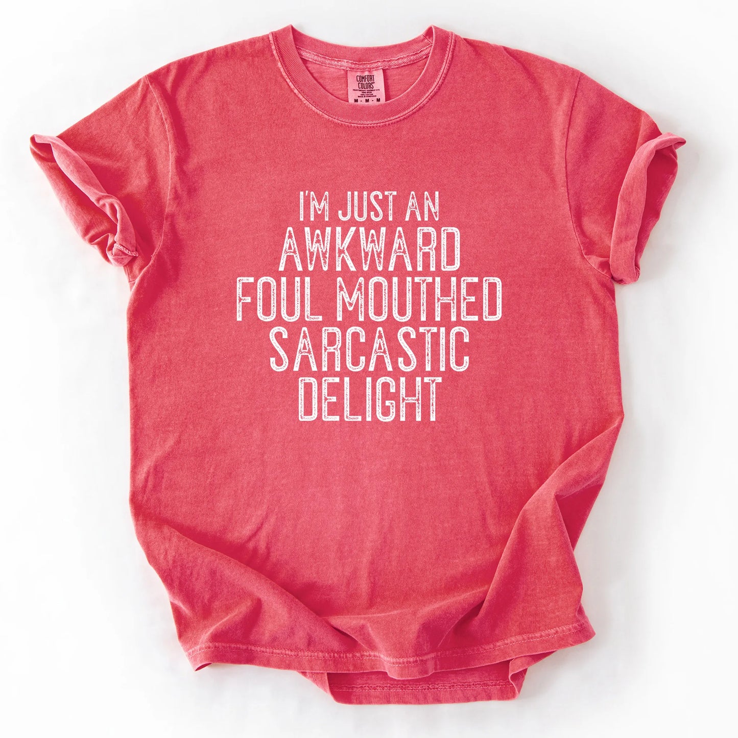 I'm Just An Awkward Foul Mouthed Sarcastic Delight T-Shirt