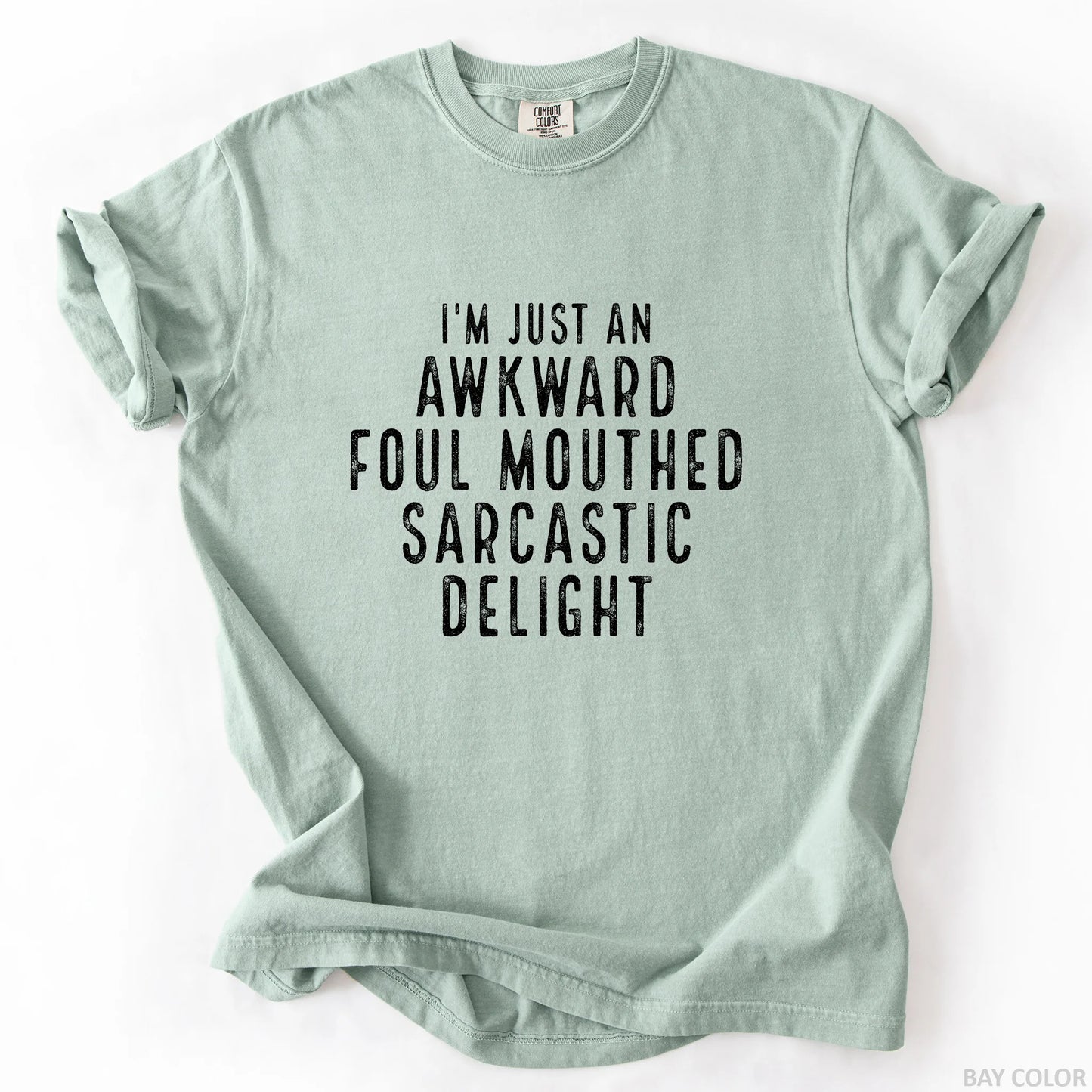 I'm Just An Awkward Foul Mouthed Sarcastic Delight T-Shirt