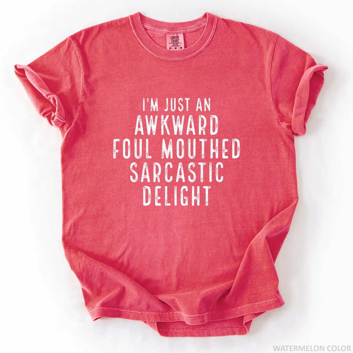 I'm Just An Awkward Foul Mouthed Sarcastic Delight T-Shirt