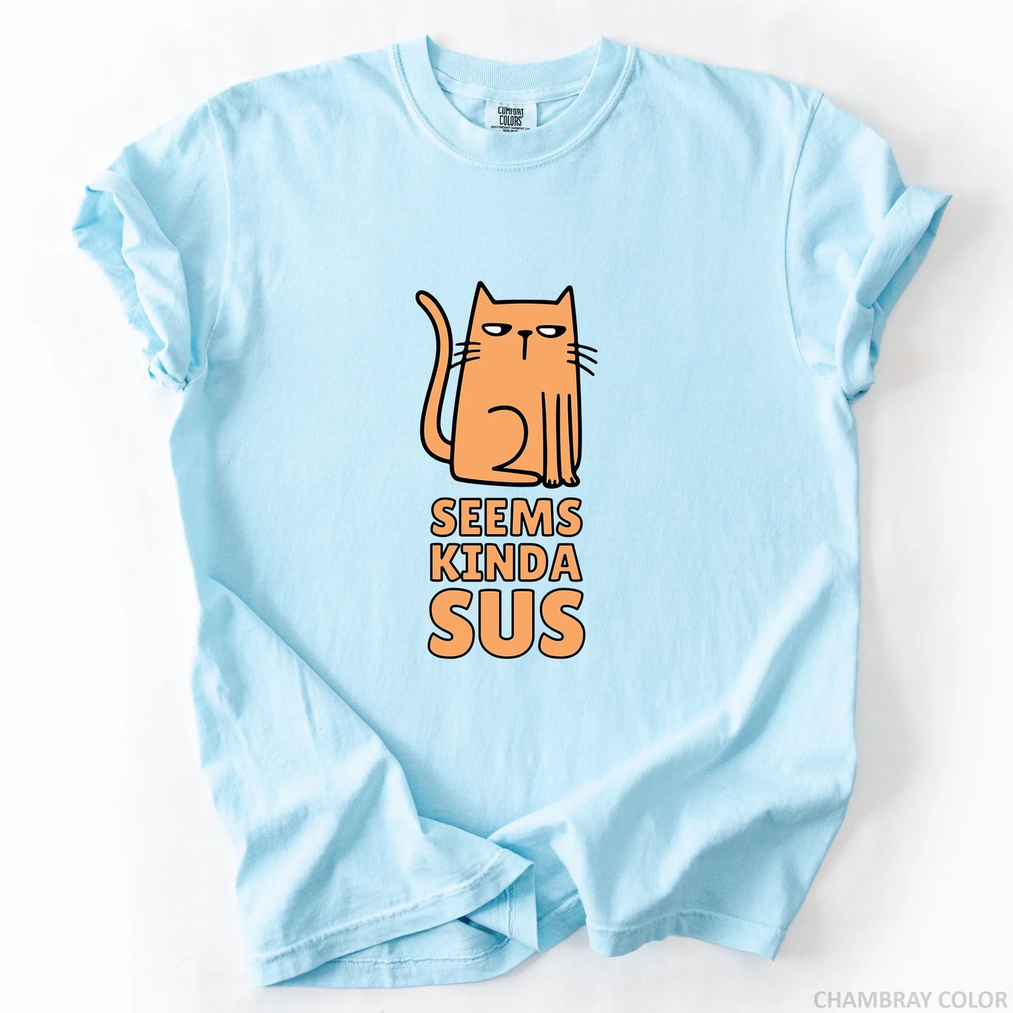 Seems Kinda Sus T-Shirt