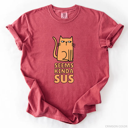 Seems Kinda Sus T-Shirt