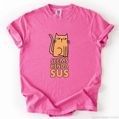 Seems Kinda Sus T-Shirt