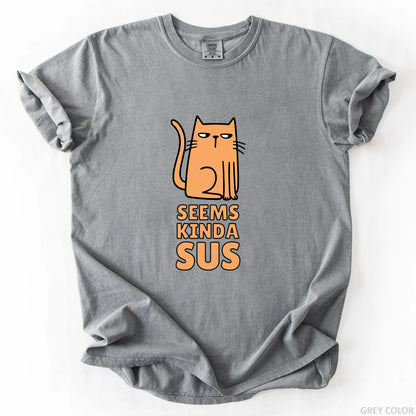 Seems Kinda Sus T-Shirt