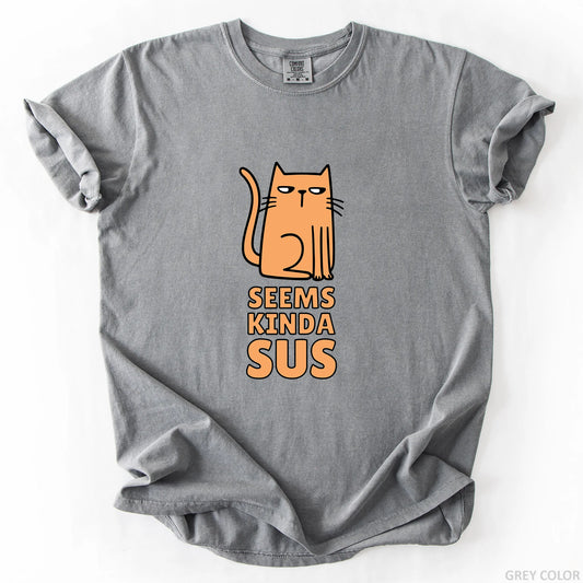 Seems Kinda Sus T-Shirt