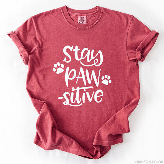 Stay Pawsitive T-Shirt