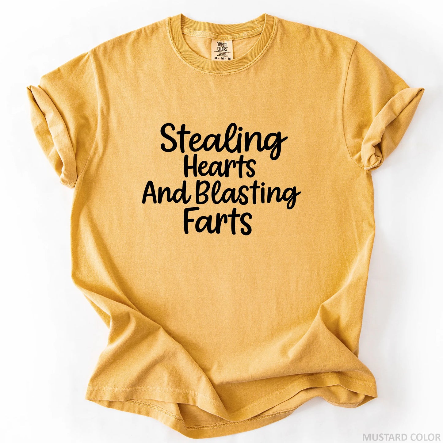 Stealing Hearts And Blasting Farts T-Shirt