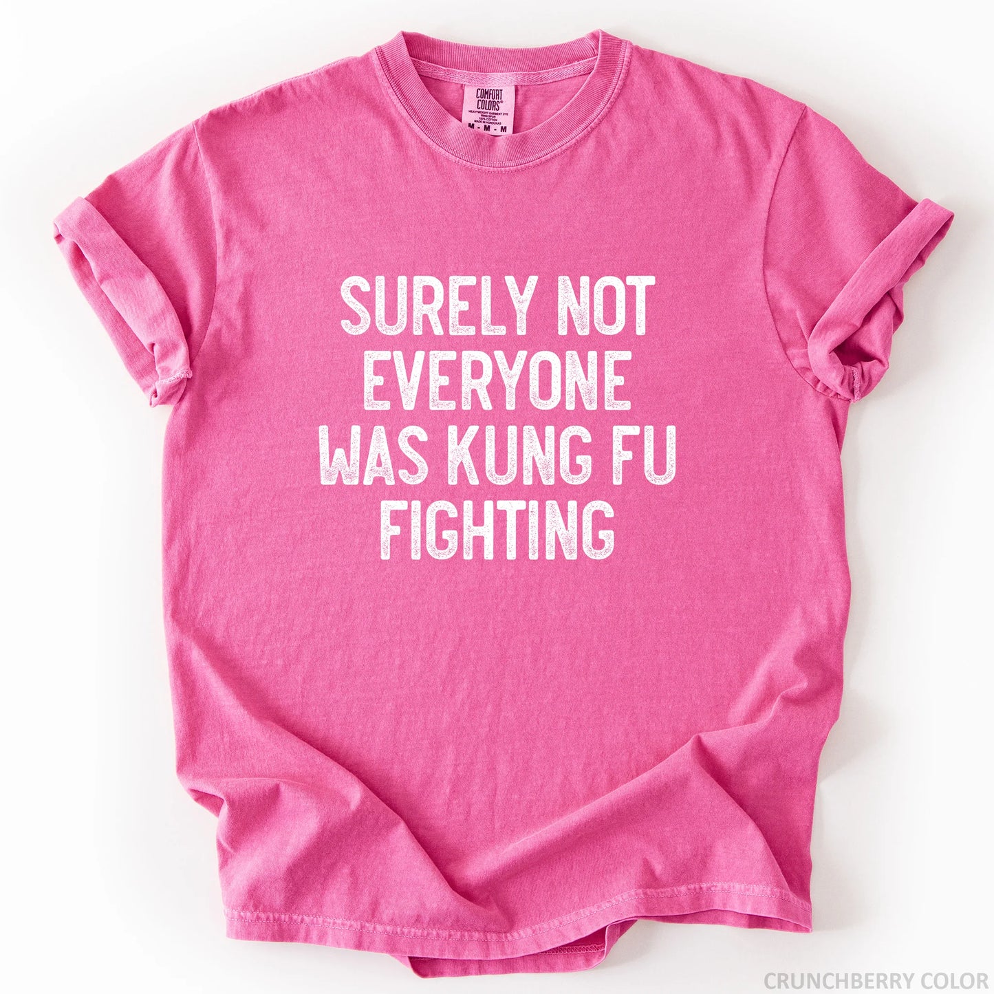 Surely Not Everyone Was Kung Fu Fighting T-Shirt