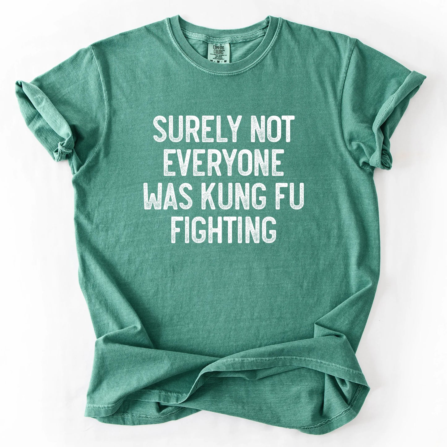 Surely Not Everyone Was Kung Fu Fighting T-Shirt