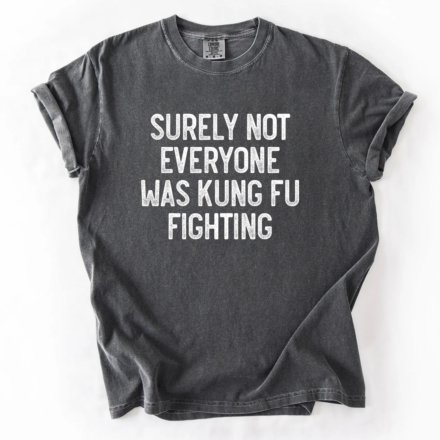 Surely Not Everyone Was Kung Fu Fighting T-Shirt