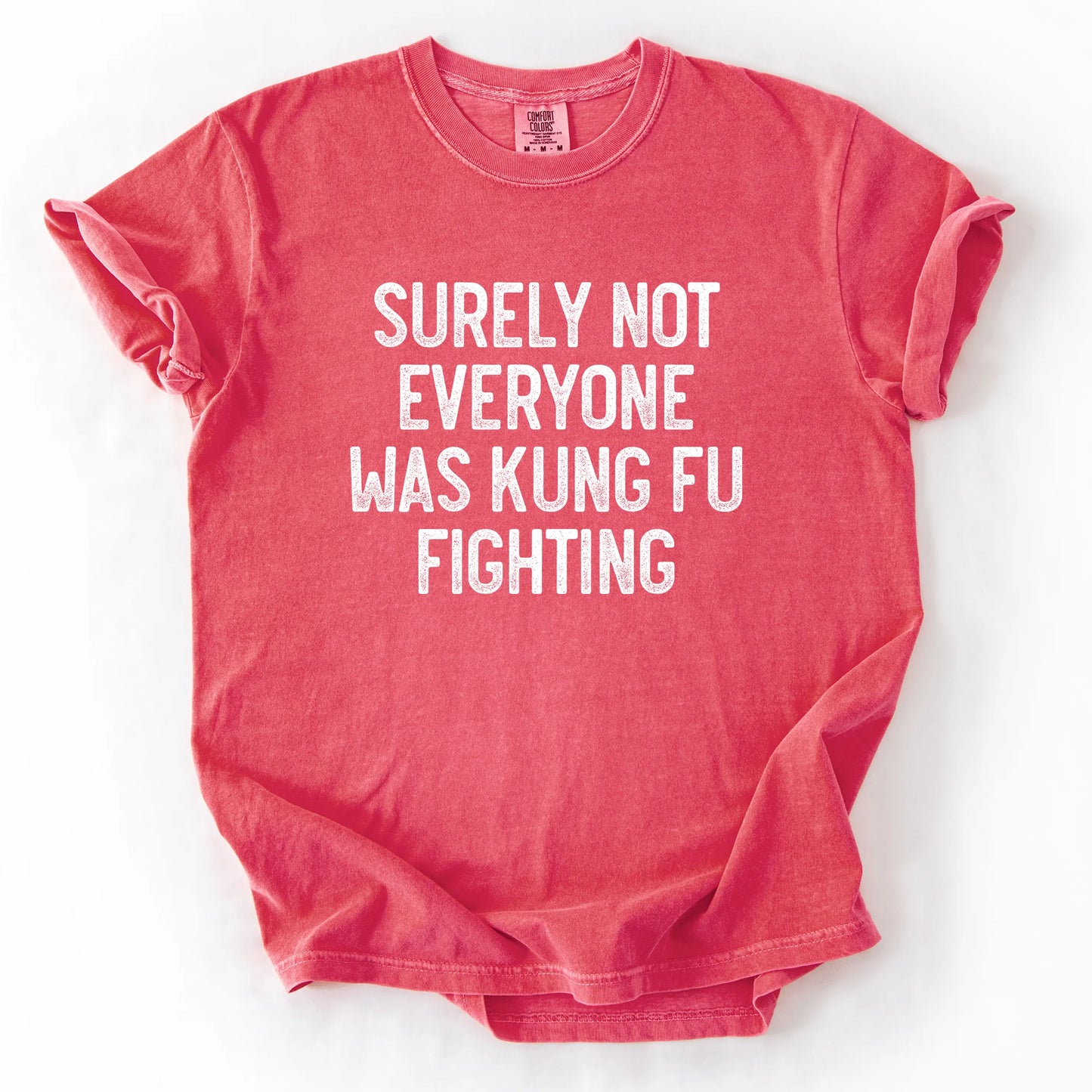 Surely Not Everyone Was Kung Fu Fighting T-Shirt