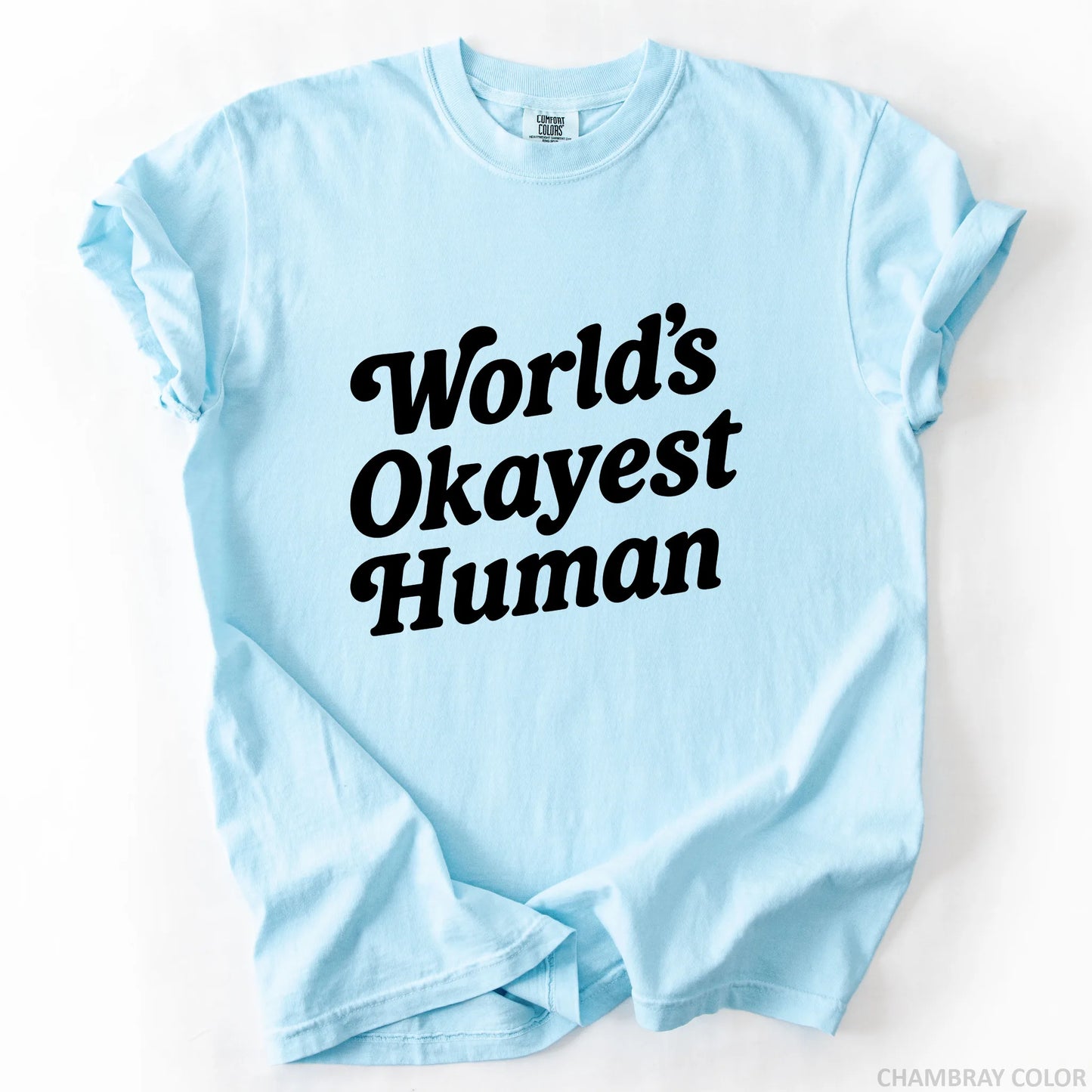 World's Okayest Human T-Shirt