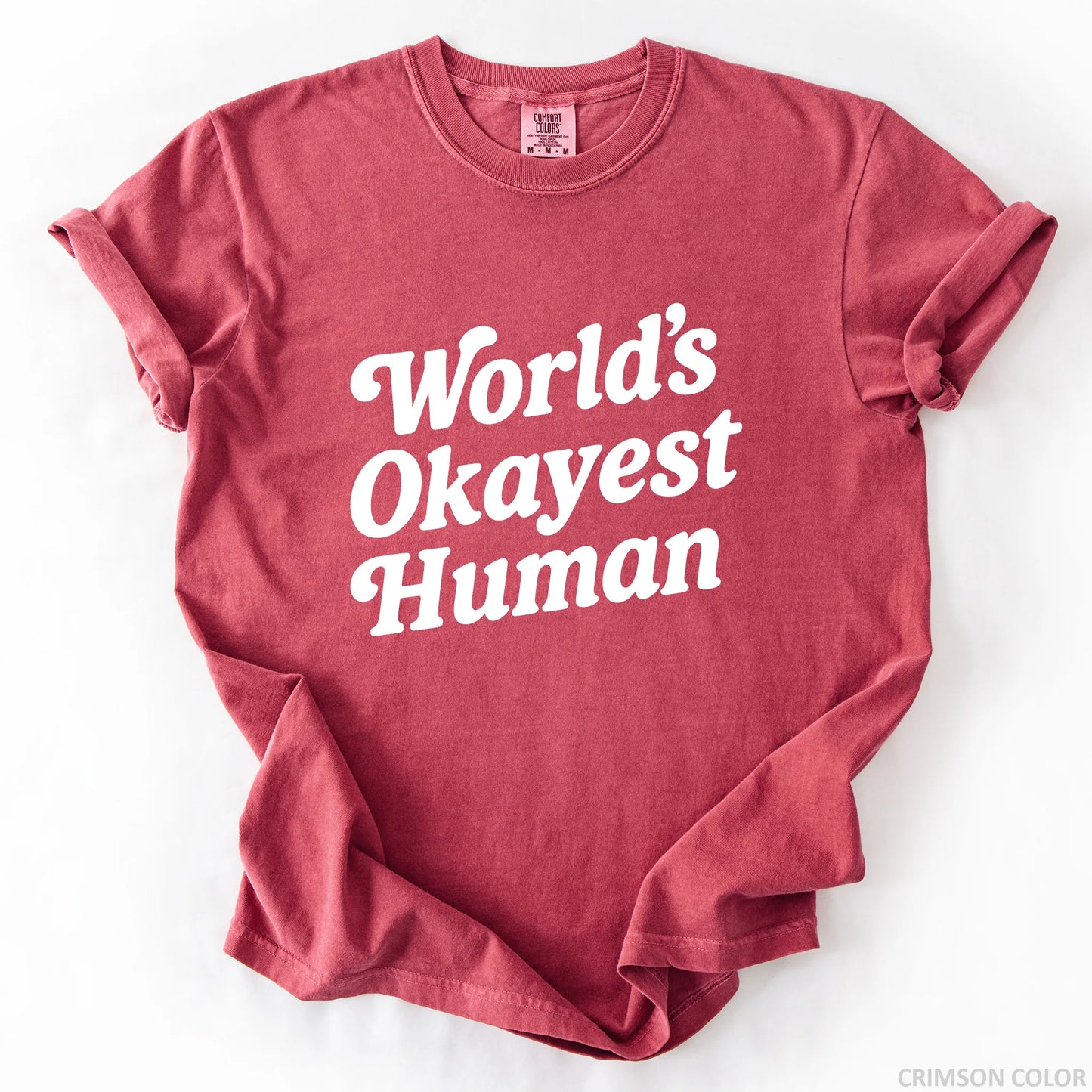 World's Okayest Human T-Shirt