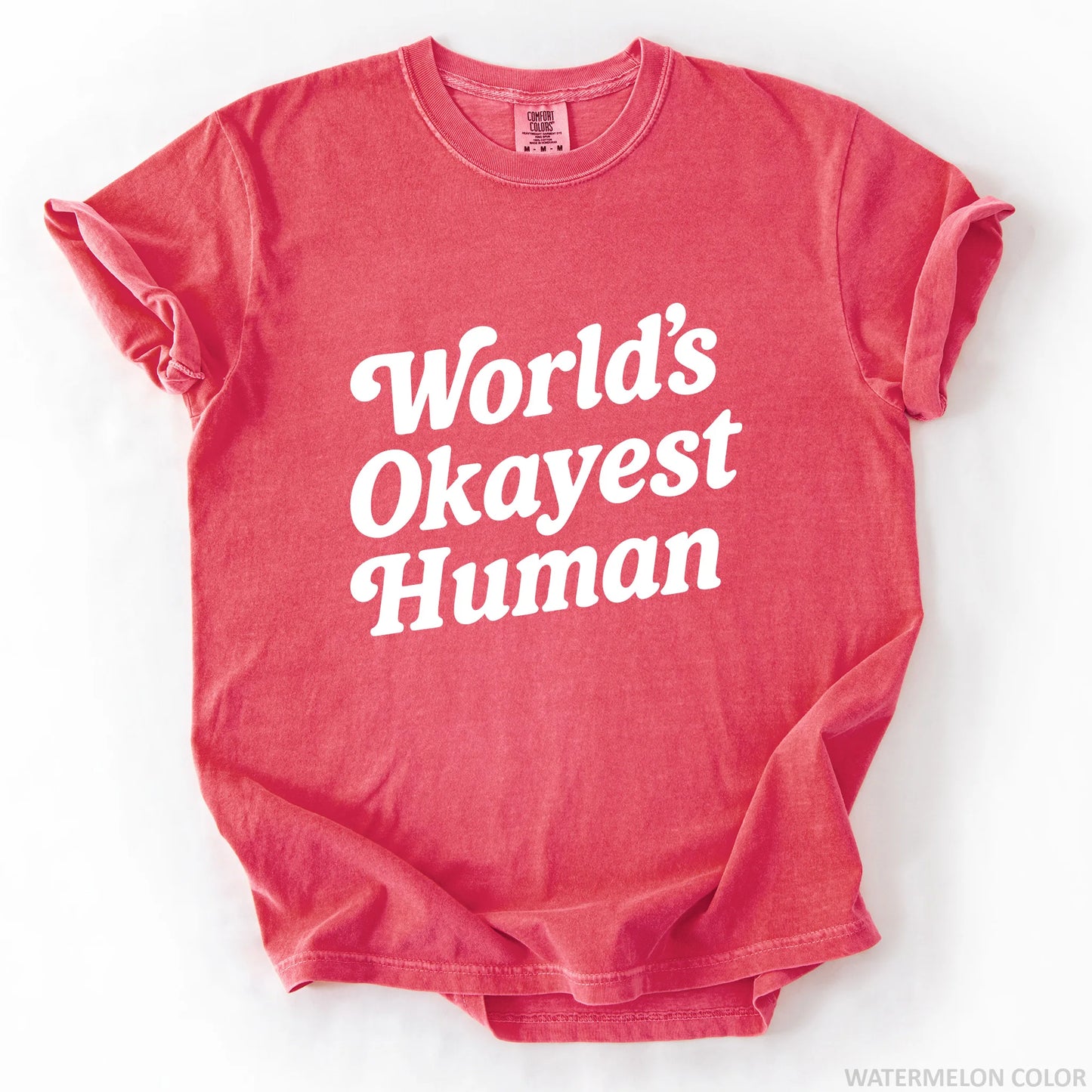 World's Okayest Human T-Shirt