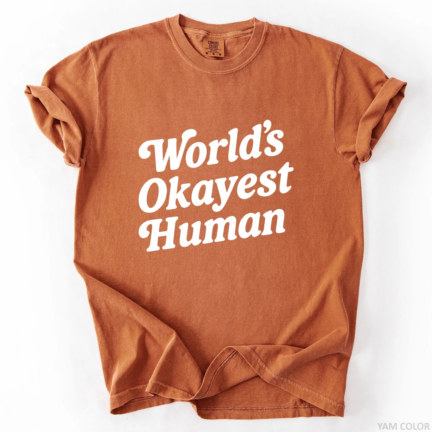 World's Okayest Human T-Shirt